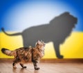 Concept of hidden potential, cat and lion shadow on the background of the Ukrainian flag