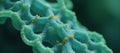 Highresolution image showcasing macro details of hydrogen cell structure for green energy technology