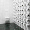 Concept Hoarding of Toilet paper