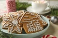 Concept of holiday food with Christmas cookie, close up Royalty Free Stock Photo