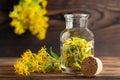 Concept of homeopathy and herbal treatment - solidago virgaurea know as goldenrod in a bottle Royalty Free Stock Photo