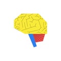 Concept of human brain anatomy in geometric patchwork style. Graphic composition for advertisement, banner, packaging