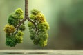 The concept of human lungs formed into a green tree is captured in this image Royalty Free Stock Photo