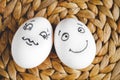 Concept human relationships and emotions eggs - flirtation Royalty Free Stock Photo