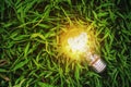concept idea eco, energy light bulb Royalty Free Stock Photo