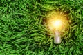 concept idea eco, energy light bulb on green grass background Royalty Free Stock Photo