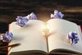 Concept idea. Growing light bulb on vintage book with crumpled p Royalty Free Stock Photo