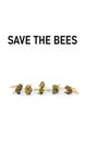 Save the Bees, decline in Bees due to habitat destruction, pollution and pesticide use