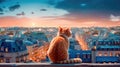 A red tabby cat sits on the roof of a house in Paris and looks at the moon, a beautiful view. Generative AI Royalty Free Stock Photo