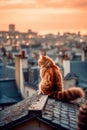 A red tabby cat sits on the roof of a house in Paris and looks at the moon, a beautiful view. Generative AI Royalty Free Stock Photo