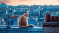 A red tabby cat sits on the roof of a house in Paris and looks at the moon, a beautiful view. Generative AI Royalty Free Stock Photo