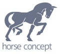 Horse Concept Royalty Free Stock Photo