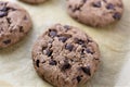 An concept image of a delicious chocolate biscuits - cookies, food