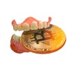 false teeth gums mouth biting eating cryptocurrency virtual banking money chewing
