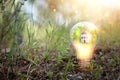 Concept image of a light bulb and small house in nature. Idea of ecology, solar energy, and sustainability Royalty Free Stock Photo