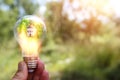 Concept image of a light bulb and small house in nature. Idea of ecology, solar energy, and sustainability Royalty Free Stock Photo