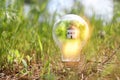 Concept image of a light bulb and small house in nature. Idea of ecology, solar energy, and sustainability Royalty Free Stock Photo