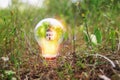 Concept image of a light bulb and small house in nature. Idea of ecology, solar energy, and sustainability Royalty Free Stock Photo