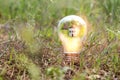 Concept image of a light bulb and small house in nature. Idea of ecology, solar energy, and sustainability Royalty Free Stock Photo