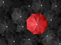 Concept image with lots of black umbrellas and a red umbrella that stands out Royalty Free Stock Photo