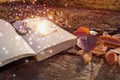 Concept image of magic bookmark