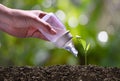 Concept  image of young plant being cared for and watered by baby water bottle on nature background Royalty Free Stock Photo