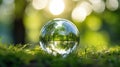 Concept image of a young seedling growing inside a protective clear spherical orb showing biodiversity on earth