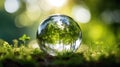 Concept image of a young seedling growing inside a protective clear spherical orb showing biodiversity on earth