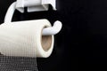 The concept of inadequate savings. Mesh fiber hangs on toilet paper holder on black background. Irrational thinking as Plan B or Royalty Free Stock Photo