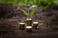 the concept of income growth or investment in the environment. Golden coins in soil with young plant. Money growth concept Royalty Free Stock Photo