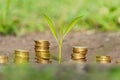 the concept of income growth or investment in the environment. Golden coins in soil with young plant. Money growth concept Royalty Free Stock Photo