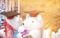 Concept of international graduate study, graduation black cap on Teddy bear wearing back hat at outdoor. Education certificate of