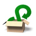 Grass texture infinity recycling symbol in open box, 3D illustration Royalty Free Stock Photo
