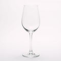 Isolated front view of an empty wine glass on white backdrop Royalty Free Stock Photo