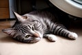 Keep Your Cat Safe Realistic Cat Flea and Tick Prevention Products.AI Generated