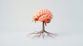 Concept of knowledge growth: a brain depicted as a tree with roots. Symbolizing intelligence, education, and mental development Royalty Free Stock Photo