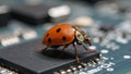 Ladybug on computer circuits depicts computer bugs and need for troubleshootingdebugging