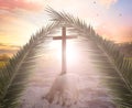 Concept of the Lamb of God: The Lamb in front of the Cross of God Royalty Free Stock Photo