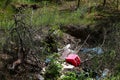 The concept of landfills piles of garbage landfills in nature barbaric attitude to the environment.