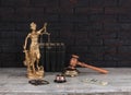 law, Themis and judicial gavel Royalty Free Stock Photo