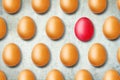 Concept of leadership, creative difference, creativity. Red egg among brown ones. Lifestyle. Business. Royalty Free Stock Photo