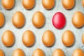 Concept of leadership, creative difference, creativity. Red egg among brown ones. Lifestyle. Business. Royalty Free Stock Photo