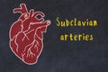 Chalk sketch of human heart on black desc and inscription Subclavian arteries Royalty Free Stock Photo