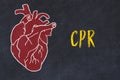 Concept of learning cardiovascular system. Chalk drawing of human heart and inscription CPR