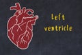 Concept of learning cardiovascular system. Chalk drawing of human heart and inscription Left ventricle Royalty Free Stock Photo