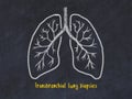 Concept of learning lung diseases. Chalk drawing of lungs with inscription Royalty Free Stock Photo