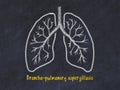 Concept of learning lung diseases. Chalk drawing of lungs with inscription