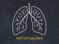 Concept of learning lung diseases. Chalk drawing of lungs with inscription Royalty Free Stock Photo