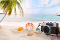 The concept of leisure travel in the summer on a tropical beach seaside. Royalty Free Stock Photo