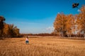 A blond cheerful girl Royalty Free Stock Photo